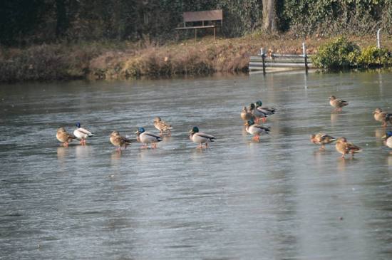 10930127_10203476510455616_4061841165614728871_n