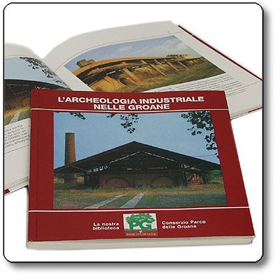 10994175_775813959175136_4414725554880592023_n