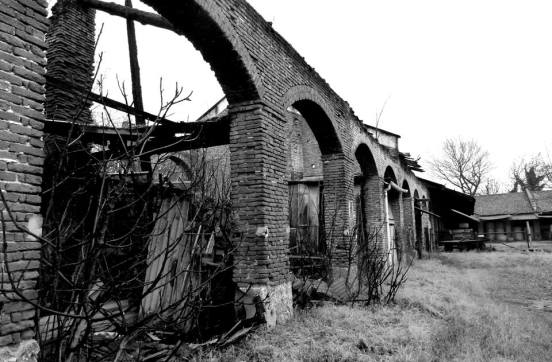 11070480_869569796422934_8342193351202270465_n