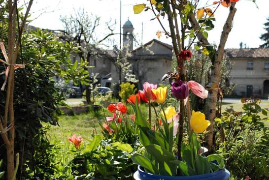 11074322_10204140346170691_3997370748656062110_n