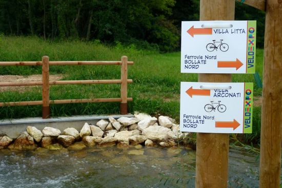 11907182_10204949924809651_2548902651968775878_n