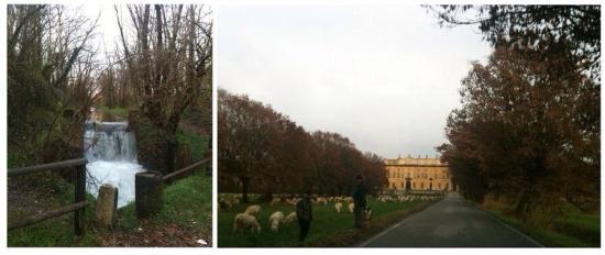 1506890_10152669187963942_178291367_n