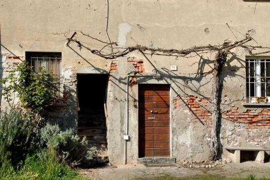 603811_10204140350450798_7852507099580051594_n